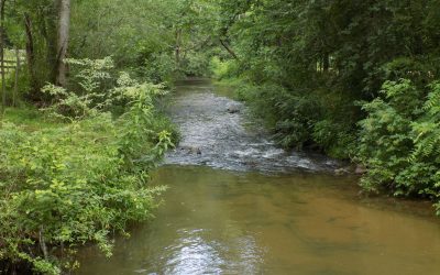 North Georgia Fishing & Hunting Getaways