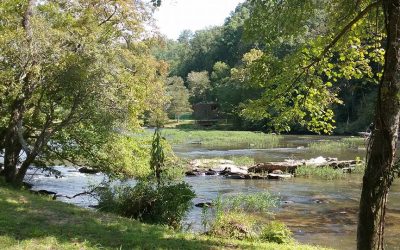 Exploring the Great North Georgia outdoors!